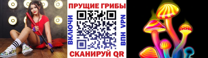 Галлюциногенные грибы Magic Shrooms  Ессентукская 